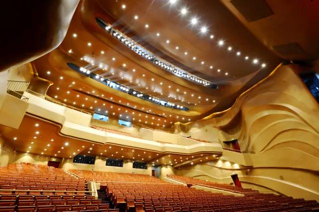 临沂大剧院艺术发现之旅第五期——财政局专场